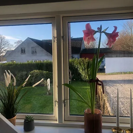 The Palm- Bright And Cozy 3- Bedroom Holiday Home With Private Terrasse & Garden, Brundby Lägenhet Samsø