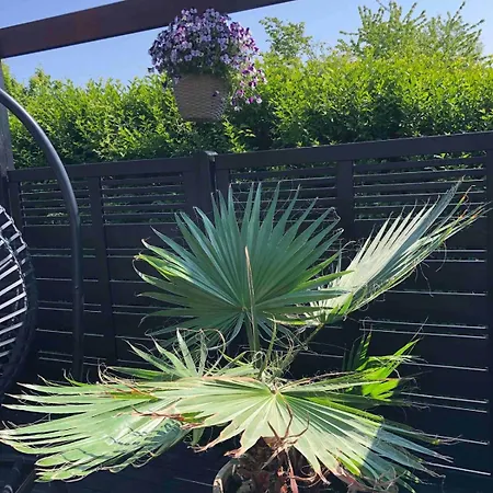 Apartment The Palm- Bright And Cozy 3- Bedroom With Private Terrasse & Garden, Brundby *