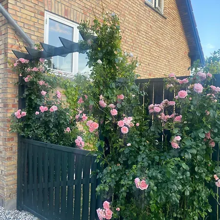 The Palm- Bright And Cozy 3- Bedroom With Private Terrasse & Garden, Brundby * Samsø